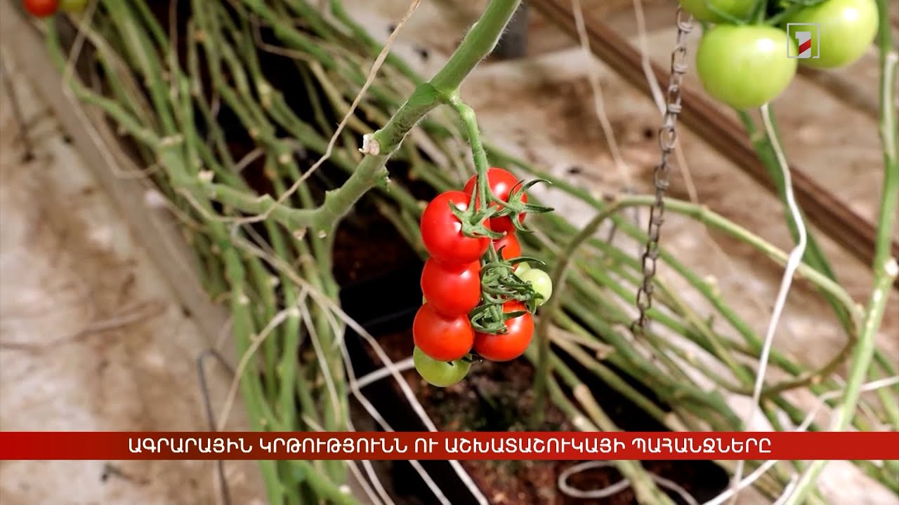 Ագրարային կրթությունն ու աշխատաշուկայի պահանջները