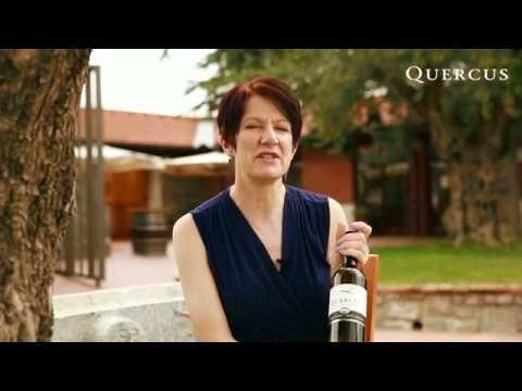Quercus Pinot Bianco - Discover Slovenian Wine is USA