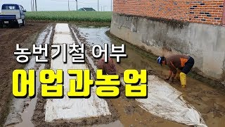 어업과농업을 겸업하는 어부는 일이 너무 많답니다