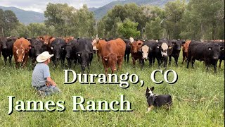 Durango Colorado is home to James Ranch, & some of the best cheese on planet earth, among lots more!