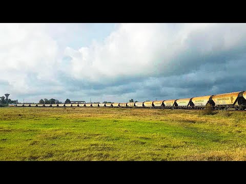 Marfar Express FWD cu DA Turbo Rail Service 1688 sosește la Episcopia Bihor de la Valea lui Mihai