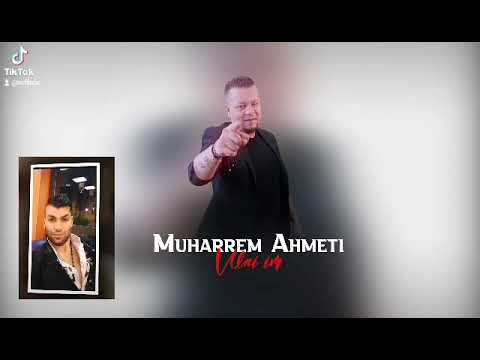 muharrem hameti        per erjon qerimi