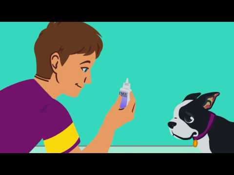 Zymox Ear Cleanser (Gallon) Video