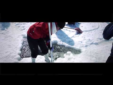 EW Dive fiilistelyä