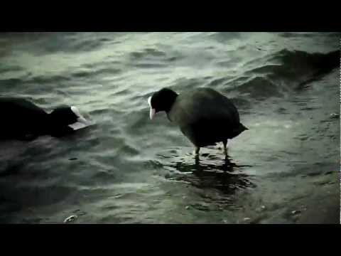 Friendzoned (aka Happy Valentine's)