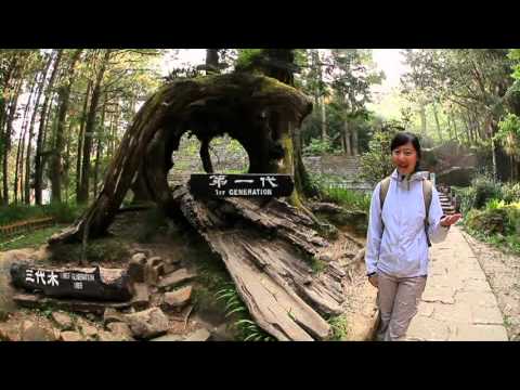 尋找阿里山 - 阿里山漫步走 台語版