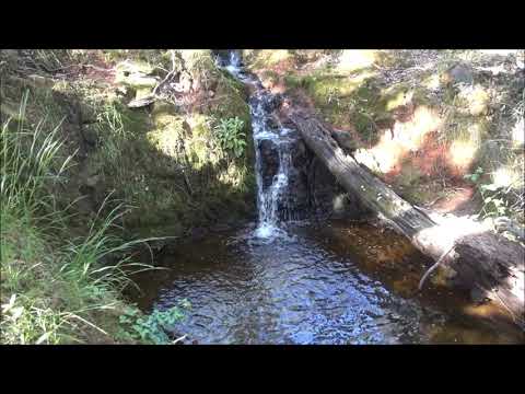 A cool hike in Cool, California, our home town.