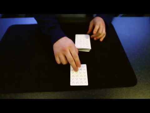 Blossoming Friendship by Daniel Chard