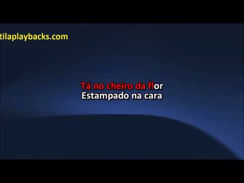 Bruno E Marrone   Doce Desejo