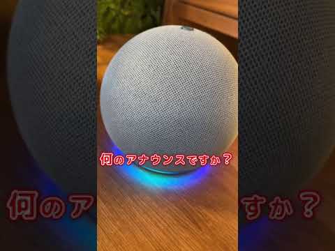 Amazon Echo: 赤ちゃんの名前「Alexa」が米国でこれまで以上に人気