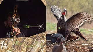 2 Epic Extreme Slow Motion Turkey Shots!🤯! | BEAST Turkey D-Cap Broadhead |