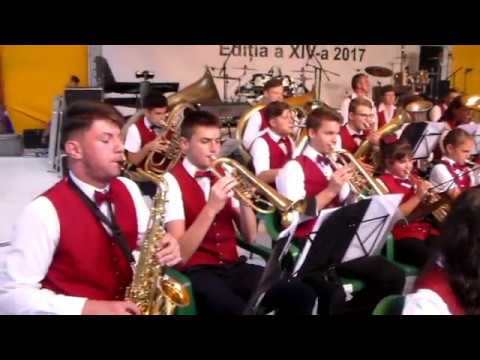 Zilele orașului Ineu   2017   A