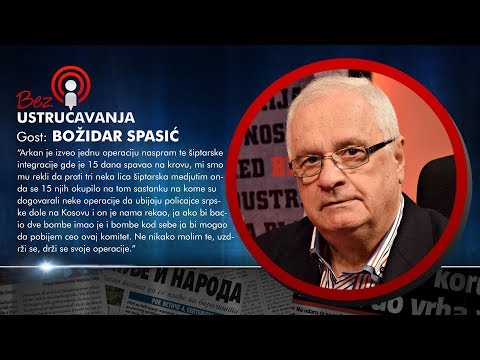 BEZ USTRUČAVANJA - Božidar Spasić: Arkan je likvidirao ljude za službu!