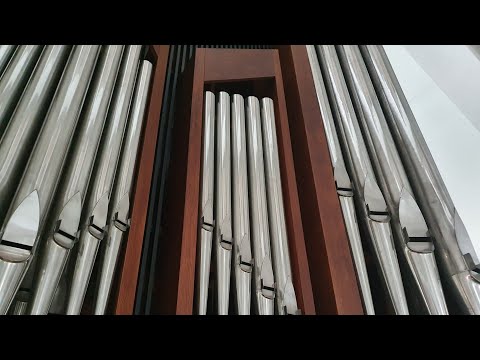 O mój Jezu w hostii skryty