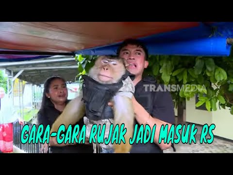 Gara-Gara Rujak, Kenken Dibawa Ke Rumah Sakit Hewan Polri | BIKIN SENENG (27/07/25) Part 2