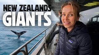 We Saw More Than Just Whales!