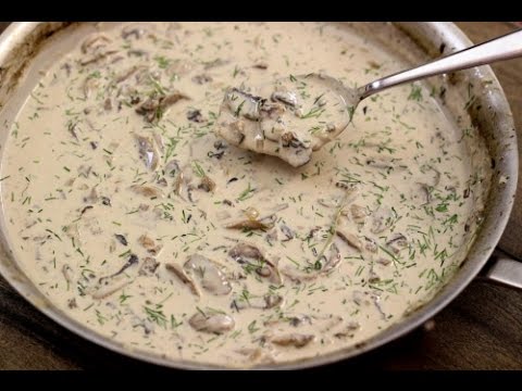 download lagu mp3 mp4 Coconut Mushroom Sauce, download lagu Coconut Mushroom Sauce gratis, unduh video klip Coconut Mushroom Sauce