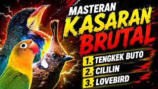 Download lagu 🔥 TERBARU 2026!! Kombinasi Tembakan Favorit Kasaran Tengkek Buto x Cililin x Lovebird – Auto Gacor mp3 Download lagu 🔥 TERBARU 2026!! Kombinasi Tembakan Favorit Kasaran Tengkek Buto x Cililin x Lovebird – Auto Gacor mp3
