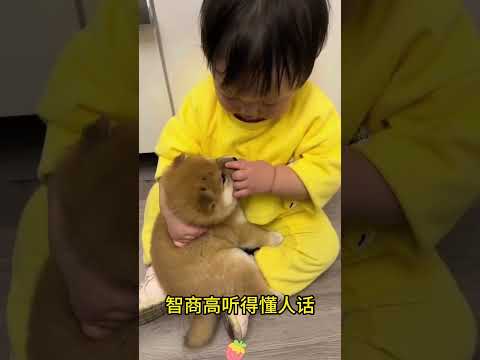 The love for these cute puppies grows day by day #dog #pet #cutedog #puppy #puppylove #cuteanimal