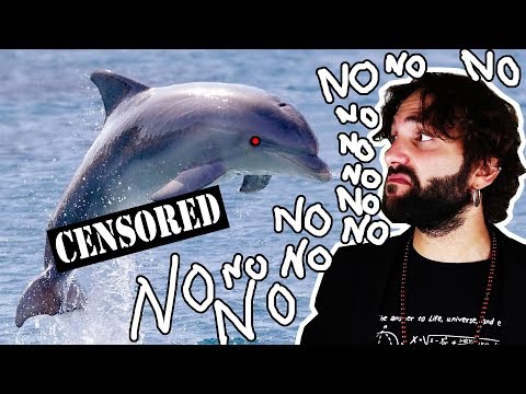 What you did NOT want to know about dolphins - NASTY SCIENCE