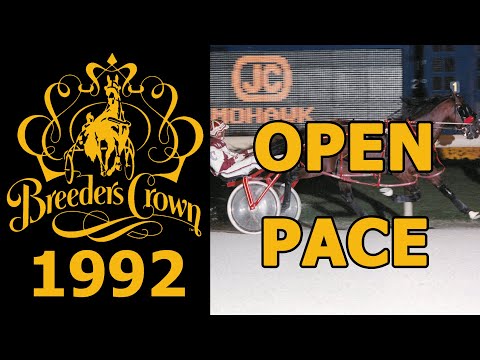 1992 Breeders Crown - Artsplace - Open Pace