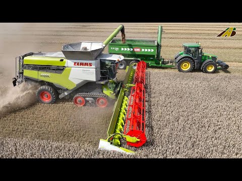 Weizenernte 2025 neuer Mähdrescher Claas Lexion 8800 mit 13,80m SW & Traktoren Landwirtschaft heute