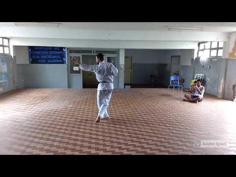 Serpente Negra: Kata Terceira Forma