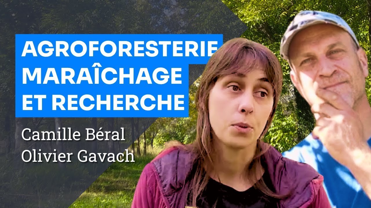 L'agroforesterie entre recherche et maraîchage, Terres de Roumassouze et AGROOF