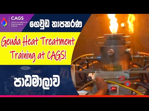 🔥 Geuda Heat Treatment Training at CAGS! 🔥