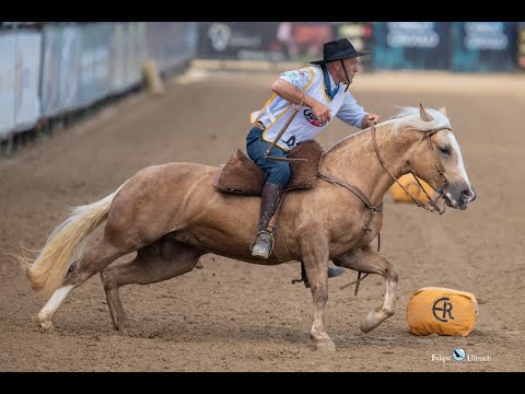 Embrião - Madeja II da Carapuça
