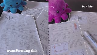 how to write pretty, functional biology notes from an A1 bio student 🌱🧸