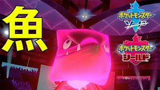 【ポケモン剣盾】上手くなりたいシングルランクPart.1【ソード・シールド】