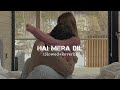 Hai Mera Dil Josh Slowed Reverb Udit Narayan Alka Yagnik Shahrukh Khan SLow