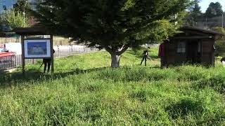 bonifica-elisuperficie-maddalena-ad-ariano-irpino