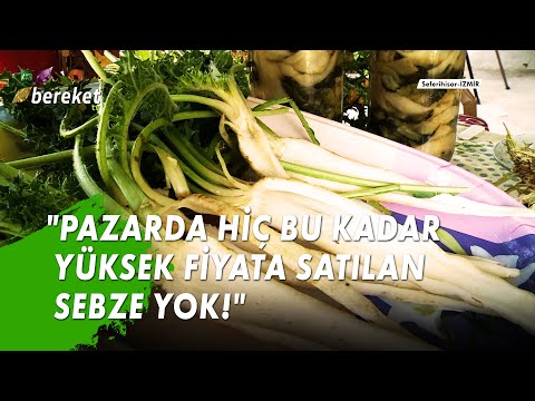 download lagu mp3 mp4 şevketi Bostan, download lagu şevketi Bostan gratis, unduh video klip Download şevketi Bostan Mp3 dan Mp4 Youtube Gratis