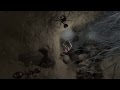 The Living Soil Beneath Our Feet | California Academy of Sciences
