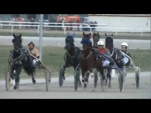 Београд Октобар двадесетпрви 2012 Трка "Гено", 1700 м.