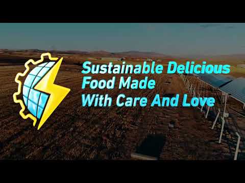 Why Elvan Group Solar Power Plants are Changing the Game