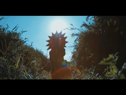 THE BAWDIES - SUNSHINE MUSIC VIDEO YouTube ver.