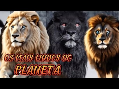 CONHEÇA OS LEÕES MAIS RAROS DO MUNDO (O último vai te SURPREENDER)