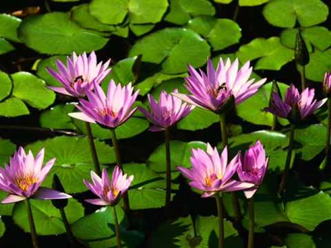 Mc Berdo A.k.a Stress #. Özledim Gitme Deseydin ' 2014