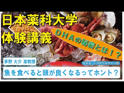 体験講義：「魚を食べると頭が良くなるってホント？」