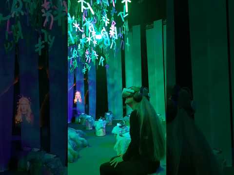 Zwischen Wikingern, Wölfen, Schlangen im Wald #wikinger #vikingsimmersive