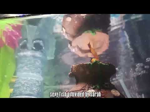 The Snow Plow Show Episode 787 - Thrifty Nickel