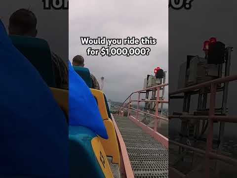⚠️WOULD YOU RIDE THIS ROLLER COASTER FOR $1,000,000? ⁉️ #rollercoaster