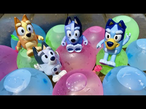 Bluey toy Water Balloons - Muffin madness water fun splash