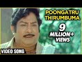 Poongatru Thirumbuma Ilaiyaraja Janaki Sivaji Ganesan Mudhal Mariyathai Melodious Song
