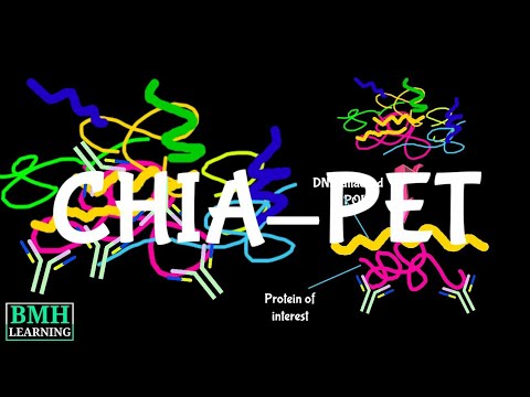 ChIA-PET | Chromatin Interaction Analysis by Paired-End Tag Sequencing |