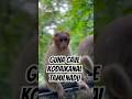 Guna Cave Kodaikanal The Devil S Kitchen Revealed