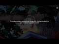 This Video Contains Content From ViacomCBS Who Has Blocked It In Your Country On Copyright Grounds